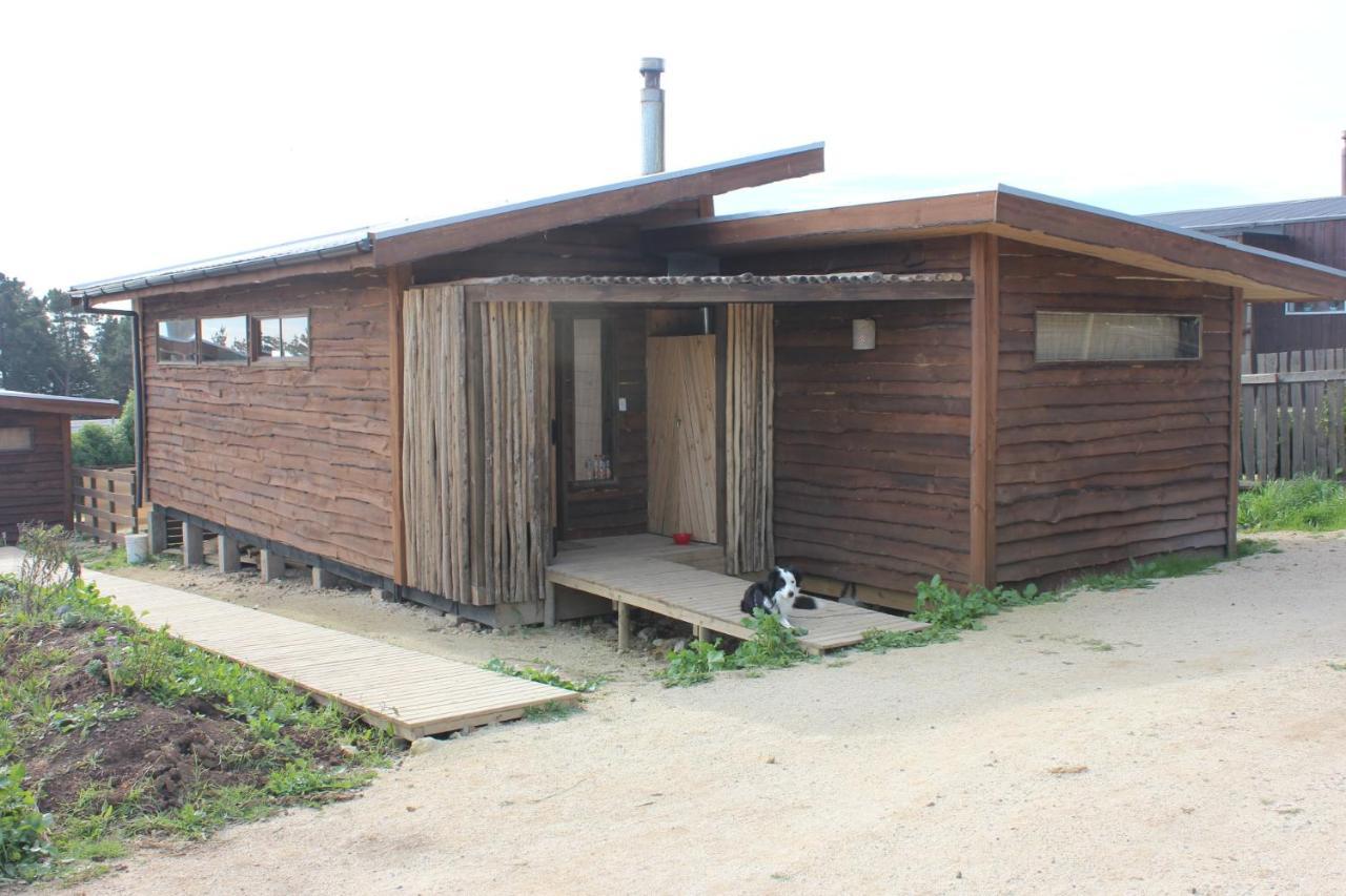 Cabanas Grulla 피칠레무 외부 사진